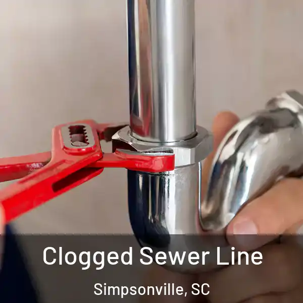  Clogged Sewer Line Simpsonville, SC