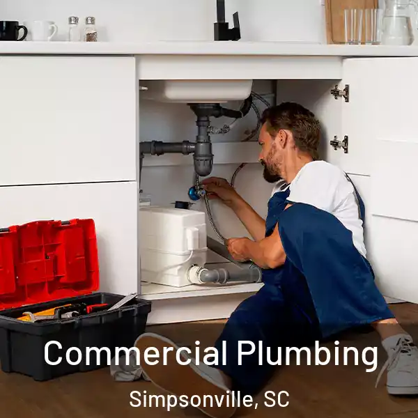  Commercial Plumbing Simpsonville, SC