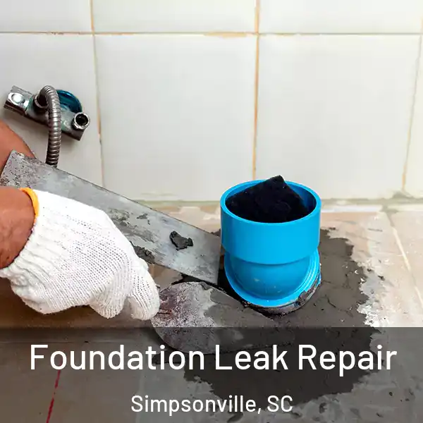  Foundation Leak Repair Simpsonville, SC