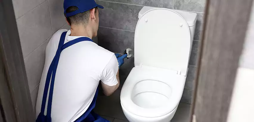 Toilet Lid Replacement in Simpsonville