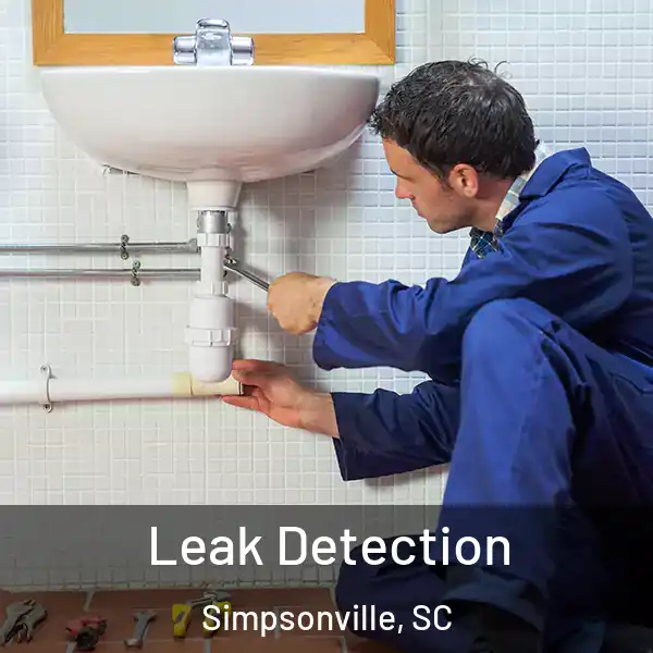  Leak Detection Simpsonville, SC