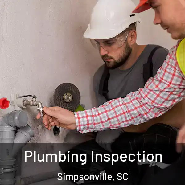  Plumbing Inspection Simpsonville, SC