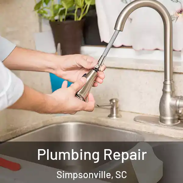  Plumbing Repair Simpsonville, SC