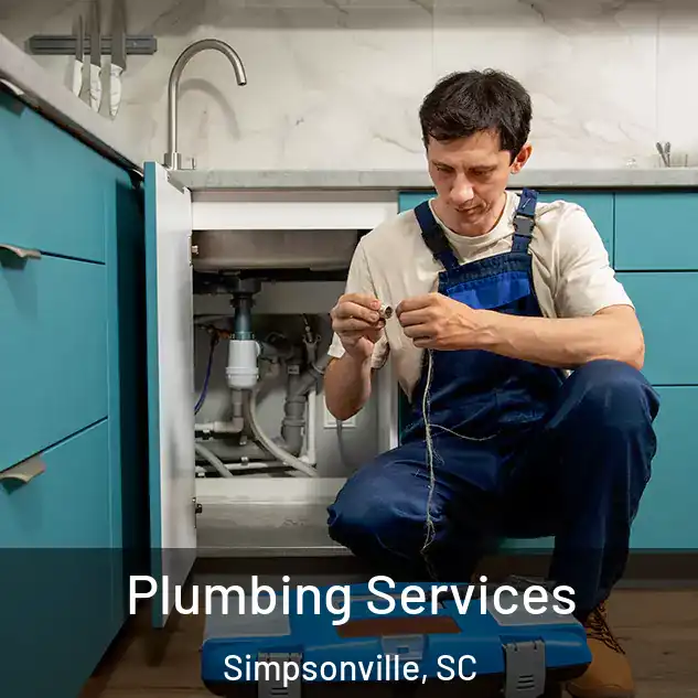  Plumbing Services Simpsonville, SC