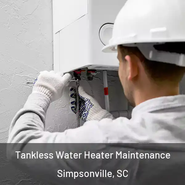  Tankless Water Heater Maintenance Simpsonville, SC
