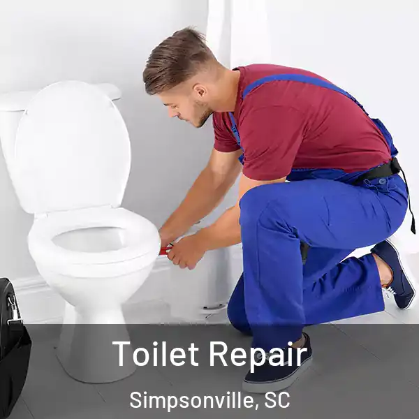  Toilet Repair Simpsonville, SC