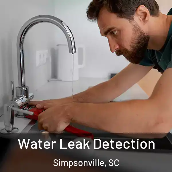  Water Leak Detection Simpsonville, SC